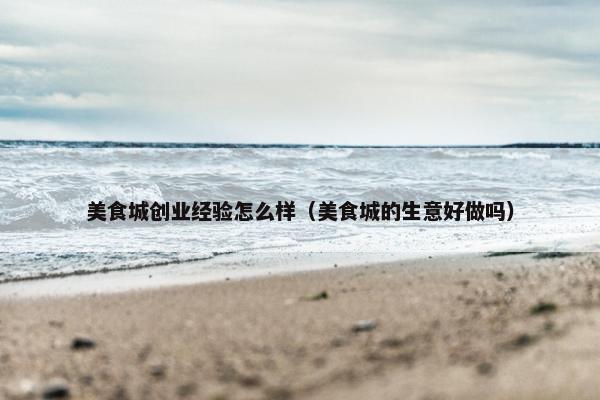 美食城创业经验怎么样（美食城的生意好做吗）