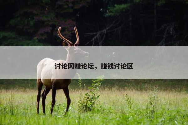 讨论网赚论坛，赚钱讨论区