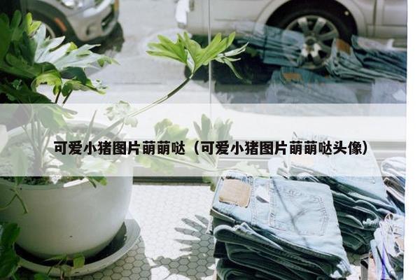 可爱小猪图片萌萌哒（可爱小猪图片萌萌哒头像）