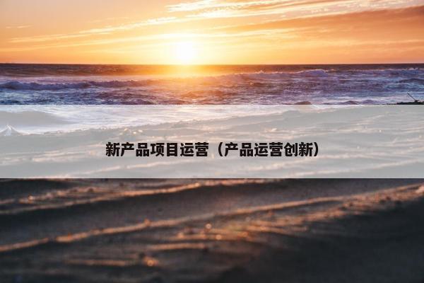 新产品项目运营（产品运营创新）