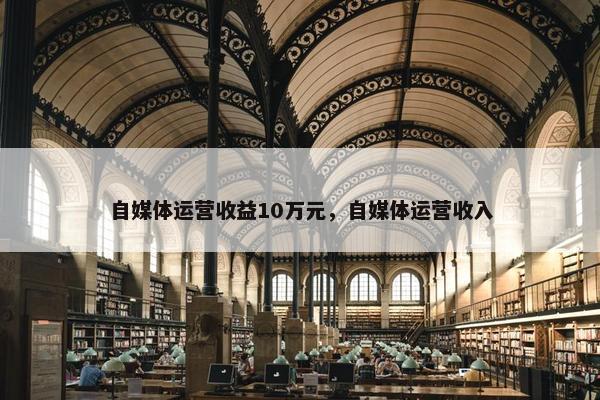 自媒体运营收益10万元，自媒体运营收入