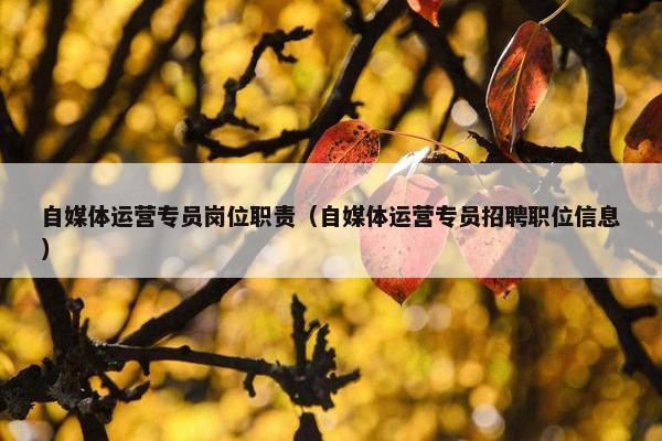 自媒体运营专员岗位职责（自媒体运营专员招聘职位信息）