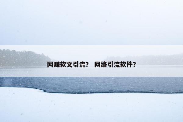 网赚软文引流？ 网络引流软件？