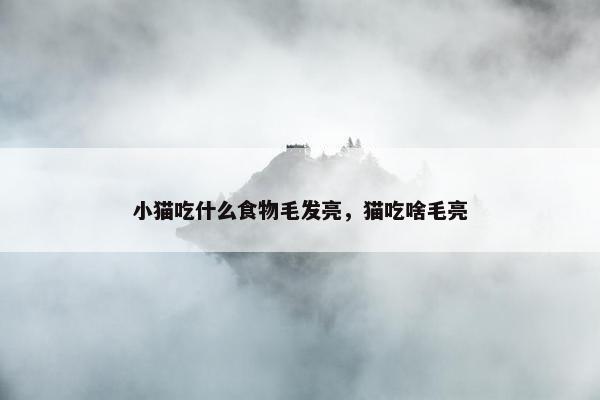 小猫吃什么食物毛发亮，猫吃啥毛亮