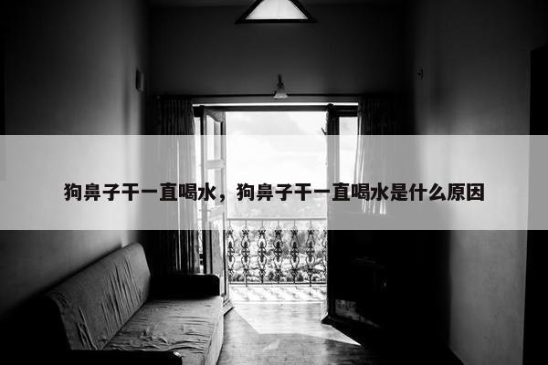 狗鼻子干一直喝水，狗鼻子干一直喝水是什么原因