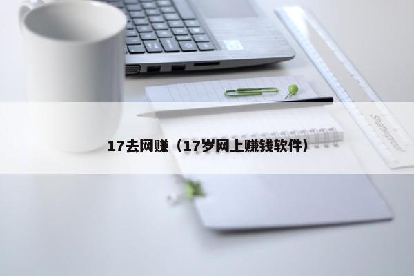17去网赚（17岁网上赚钱软件）