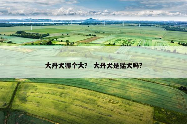 大丹犬哪个大？ 大丹犬是猛犬吗？