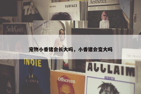宠物小香猪会长大吗，小香猪会变大吗
