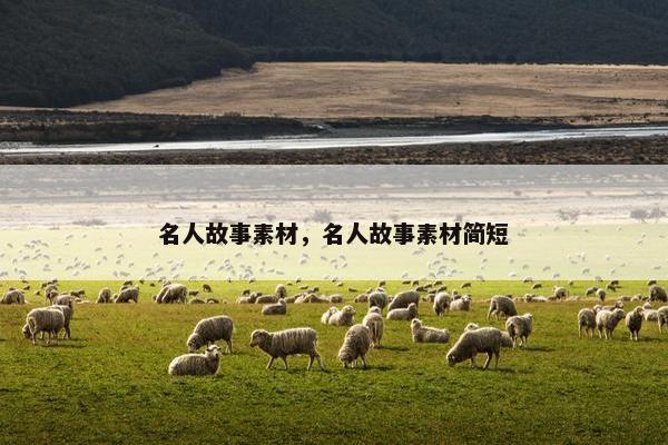 名人故事素材，名人故事素材简短