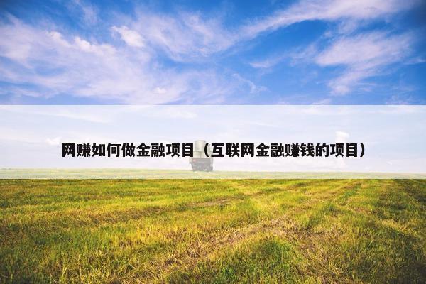 网赚如何做金融项目（互联网金融赚钱的项目）