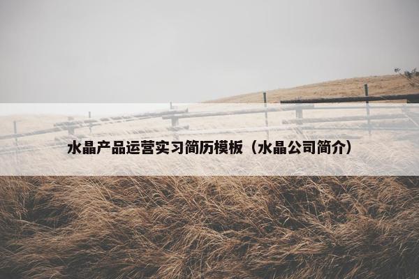 水晶产品运营实习简历模板（水晶公司简介）