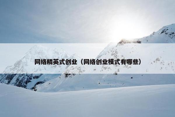 网络精英式创业（网络创业模式有哪些）