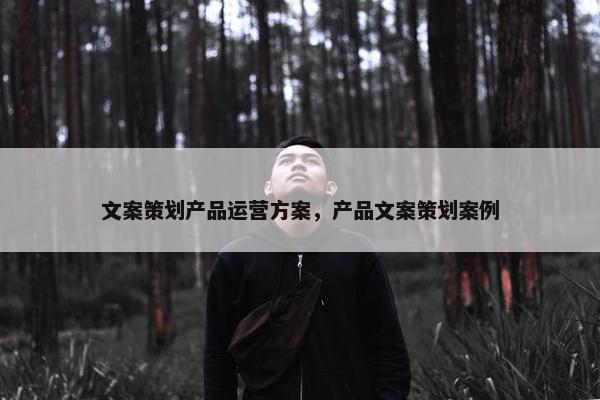 文案策划产品运营方案，产品文案策划案例