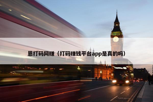 恩打码网赚（打码赚钱平台app是真的吗）
