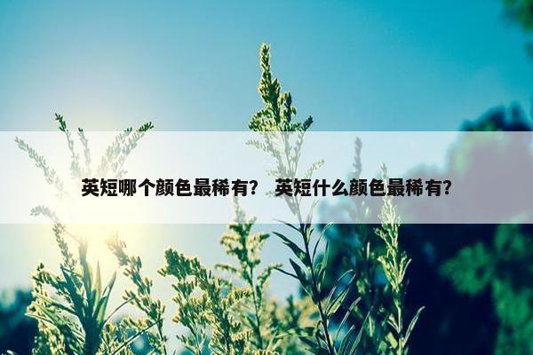 英短哪个颜色最稀有？ 英短什么颜色最稀有？