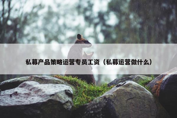 私募产品策略运营专员工资（私募运营做什么）