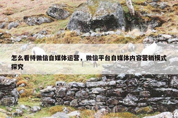 怎么看待微信自媒体运营，微信平台自媒体内容营销模式探究
