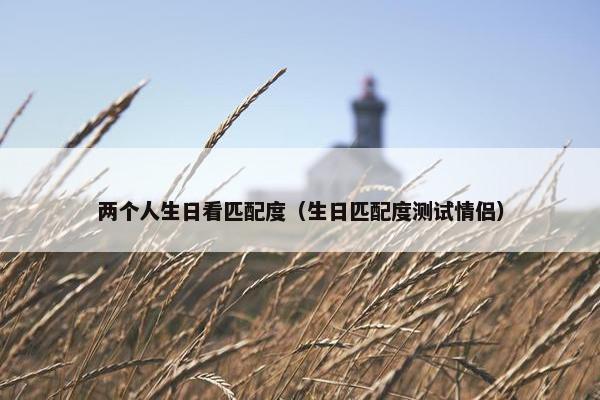 两个人生日看匹配度（生日匹配度测试情侣）
