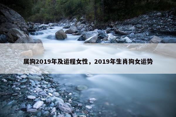 属狗2019年及运程女性，2019年生肖狗女运势