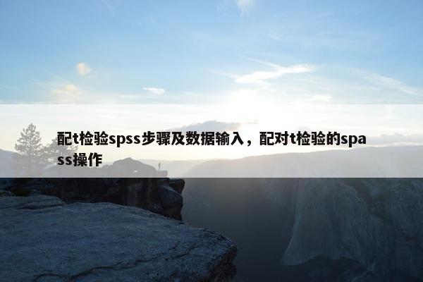 配t检验spss步骤及数据输入，配对t检验的spass操作