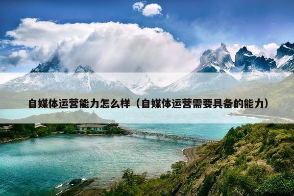 自媒体运营能力怎么样（自媒体运营需要具备的能力）