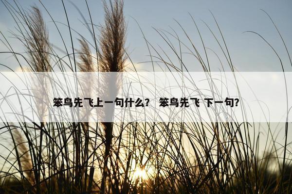 笨鸟先飞上一句什么？ 笨鸟先飞 下一句？