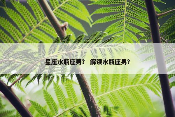星座水瓶座男？ 解读水瓶座男？