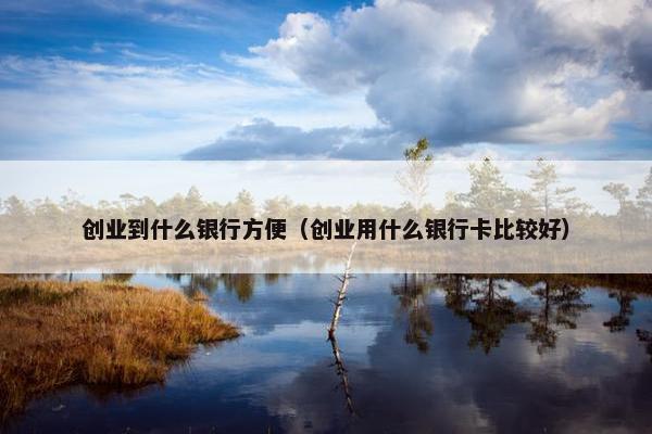 创业到什么银行方便（创业用什么银行卡比较好）