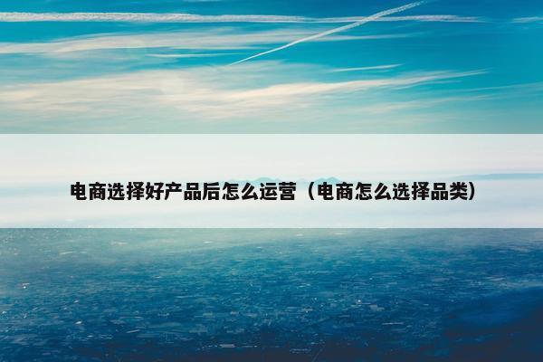 电商选择好产品后怎么运营（电商怎么选择品类）