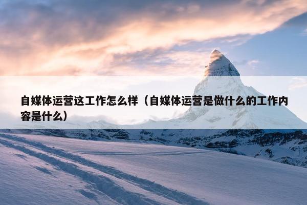 自媒体运营这工作怎么样（自媒体运营是做什么的工作内容是什么）
