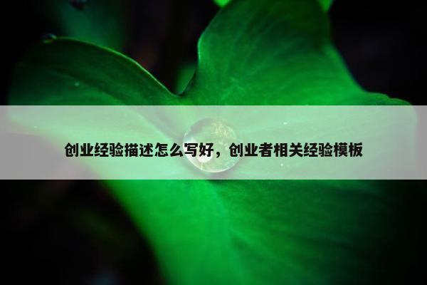 创业经验描述怎么写好，创业者相关经验模板