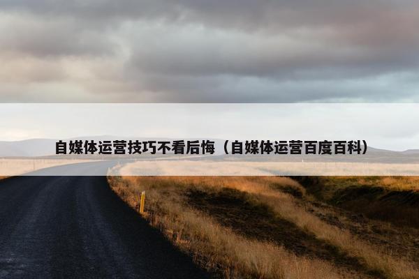 自媒体运营技巧不看后悔（自媒体运营百度百科）