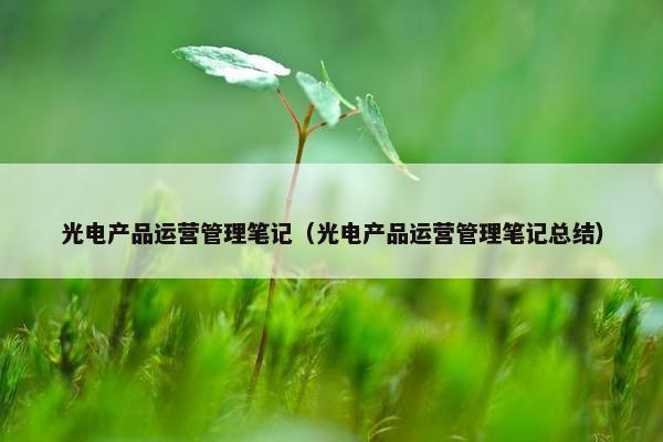 光电产品运营管理笔记（光电产品运营管理笔记总结）