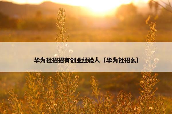 华为社招招有创业经验人（华为社招么）
