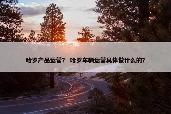 哈罗产品运营？ 哈罗车辆运营具体做什么的？
