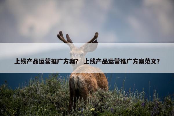 上线产品运营推广方案？ 上线产品运营推广方案范文？