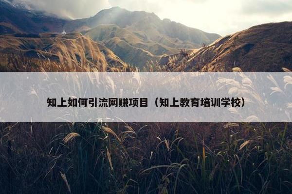 知上如何引流网赚项目（知上教育培训学校）