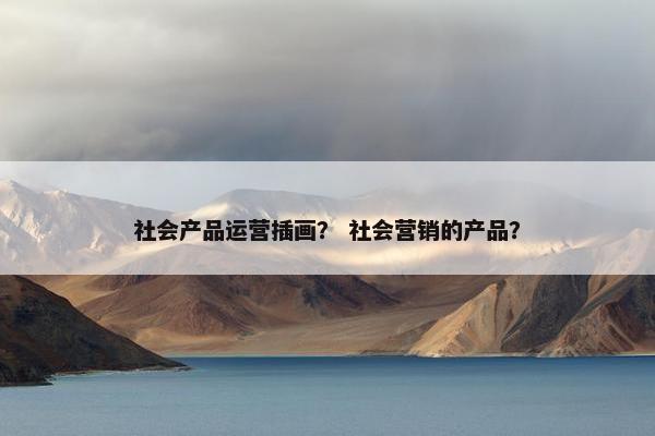 社会产品运营插画？ 社会营销的产品？
