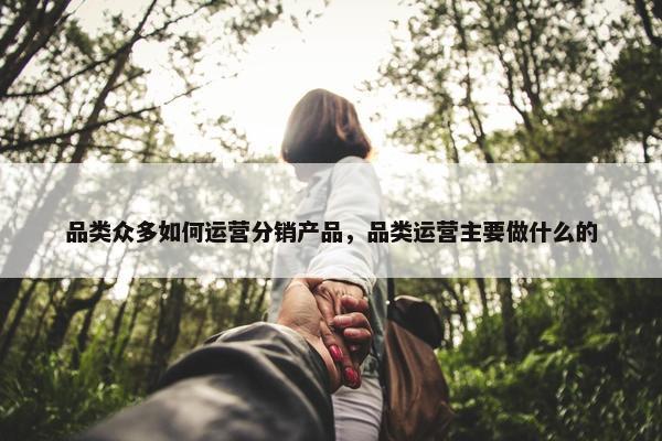 品类众多如何运营分销产品，品类运营主要做什么的