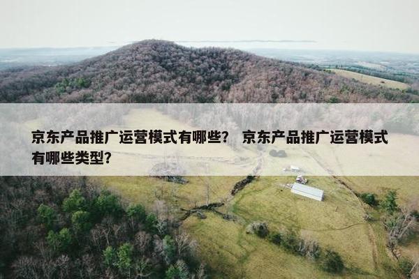 京东产品推广运营模式有哪些？ 京东产品推广运营模式有哪些类型？