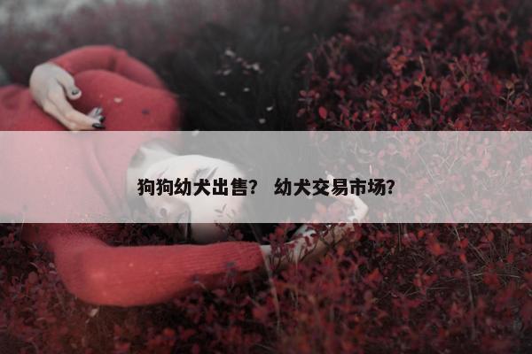 狗狗幼犬出售？ 幼犬交易市场？