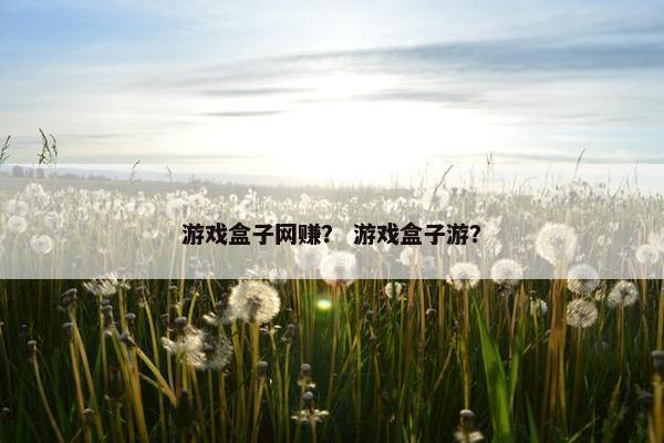 游戏盒子网赚？ 游戏盒子游？