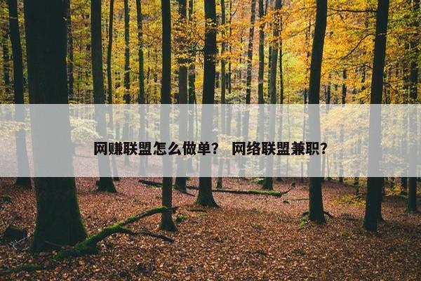 网赚联盟怎么做单？ 网络联盟兼职？