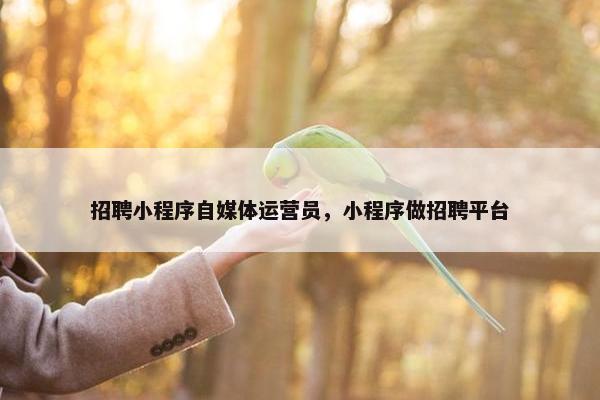 招聘小程序自媒体运营员，小程序做招聘平台