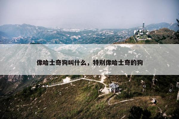 像哈士奇狗叫什么，特别像哈士奇的狗