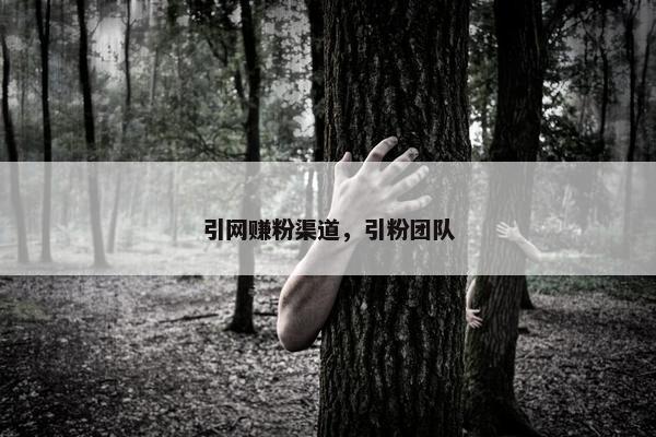引网赚粉渠道，引粉团队