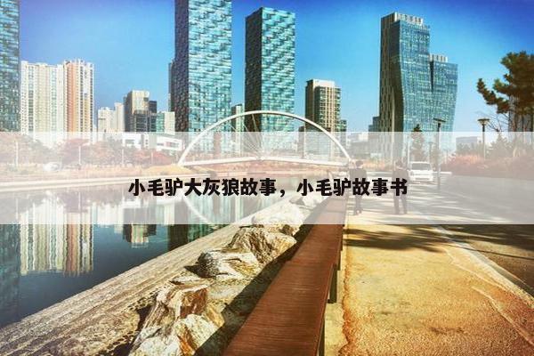 小毛驴大灰狼故事，小毛驴故事书