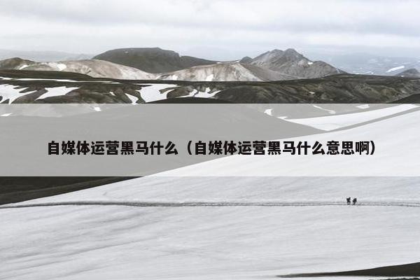 自媒体运营黑马什么（自媒体运营黑马什么意思啊）
