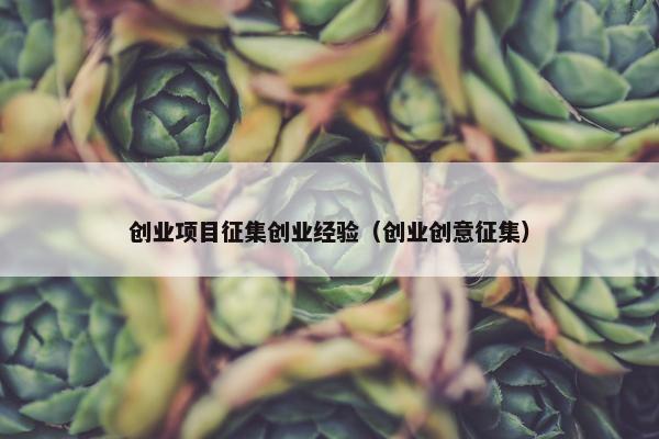 创业项目征集创业经验（创业创意征集）