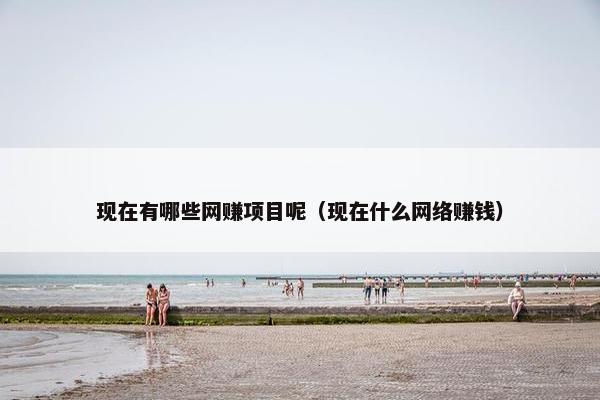 现在有哪些网赚项目呢（现在什么网络赚钱）